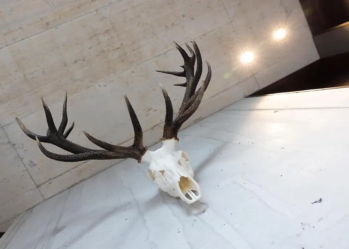 Panzió Lifestyle By Phillip Sigwart Brixlegg