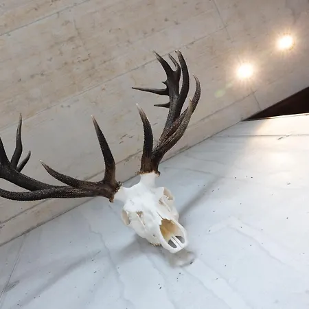 Frühstückspension Lifestyle By Phillip Sigwart Brixlegg